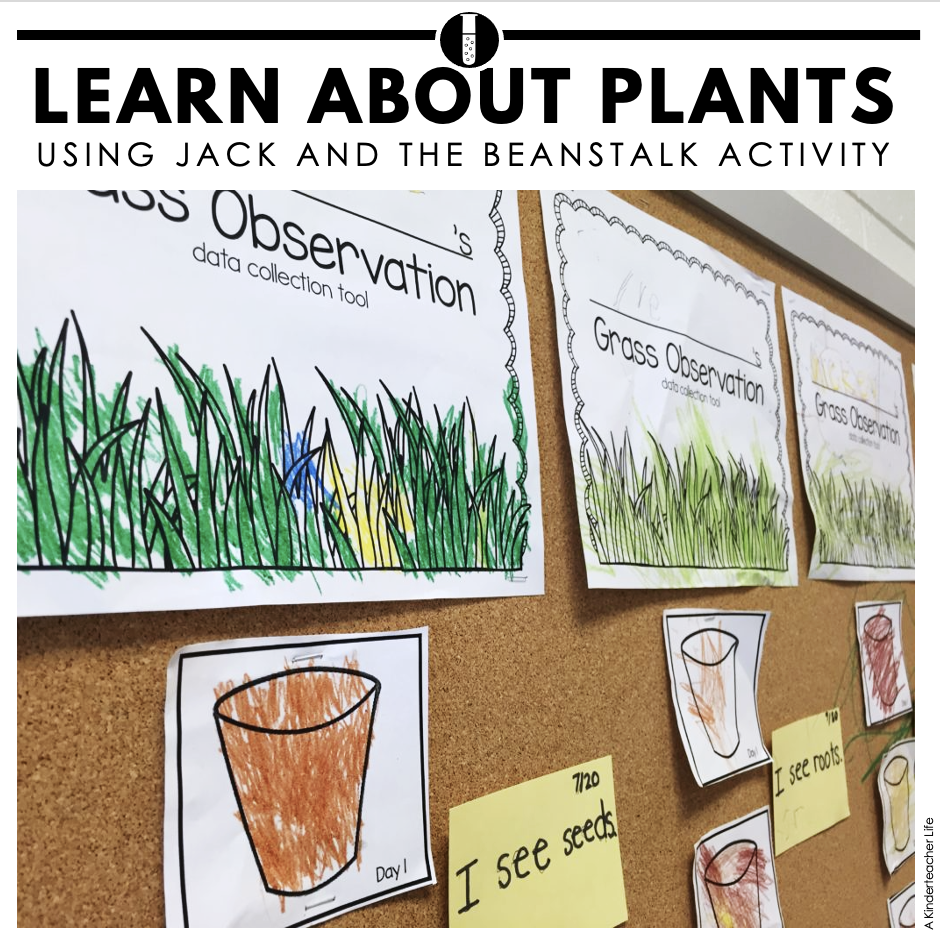 Jack and the Beanstalk and Planting Grass Seeds