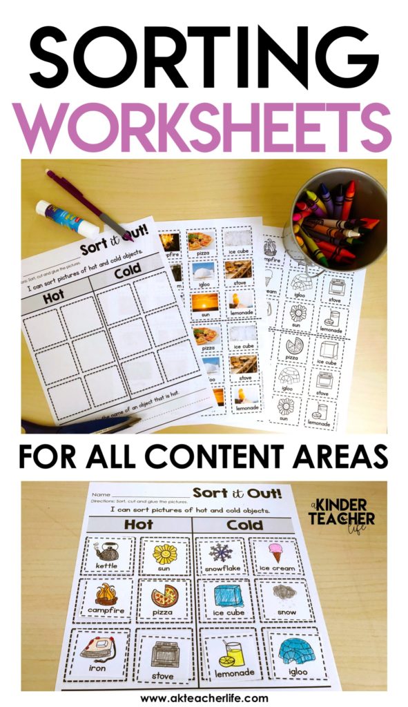 Sorting Worksheets For All Content Areas FREEBIE Included A