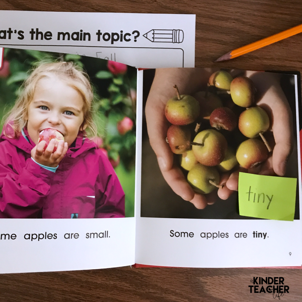 Strategies to teach primary students how to identify the main topic in a non-fiction text