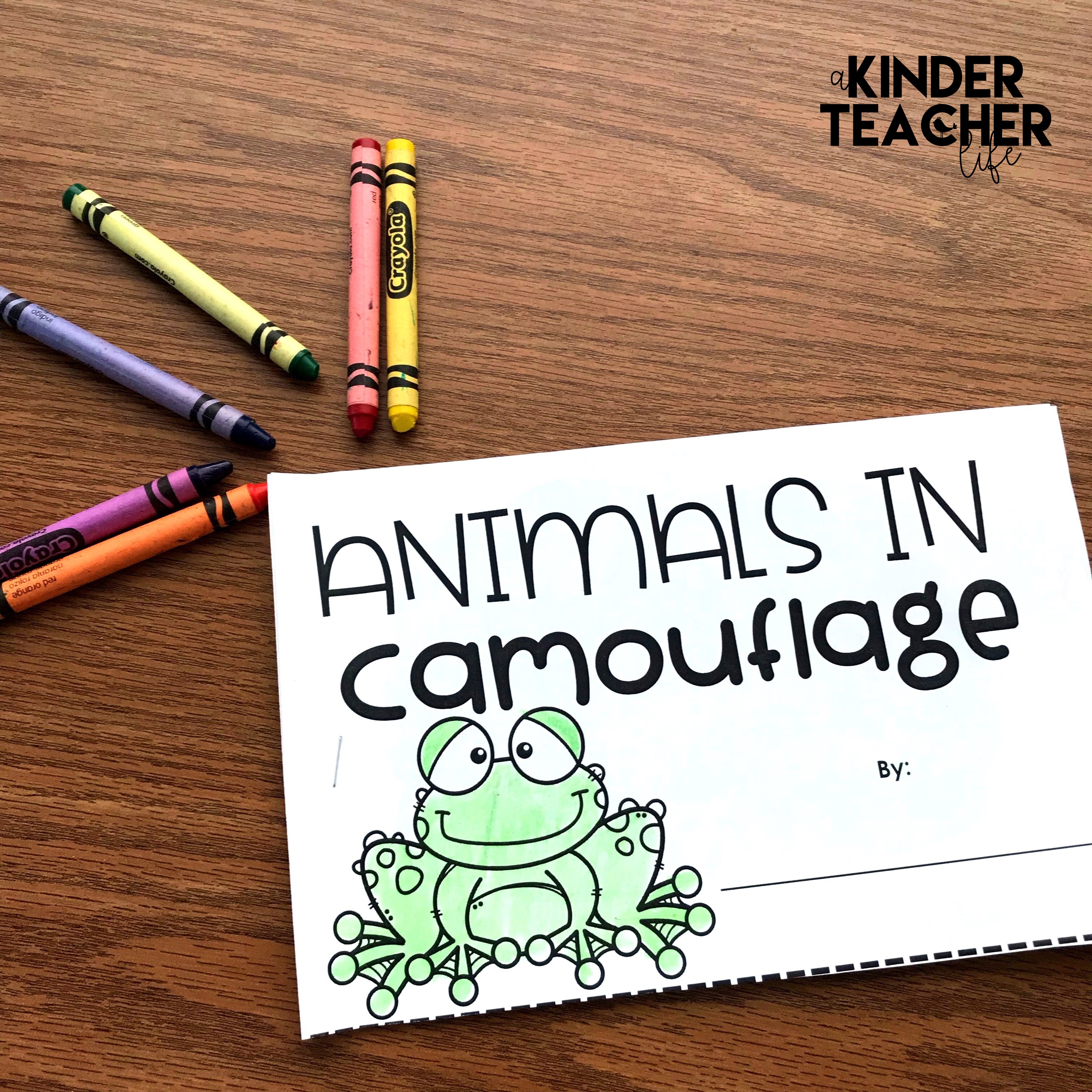 Free animal camouflage coloring book. Students read the sentence and color the animal and the habitat to demonstrate camouflage. 