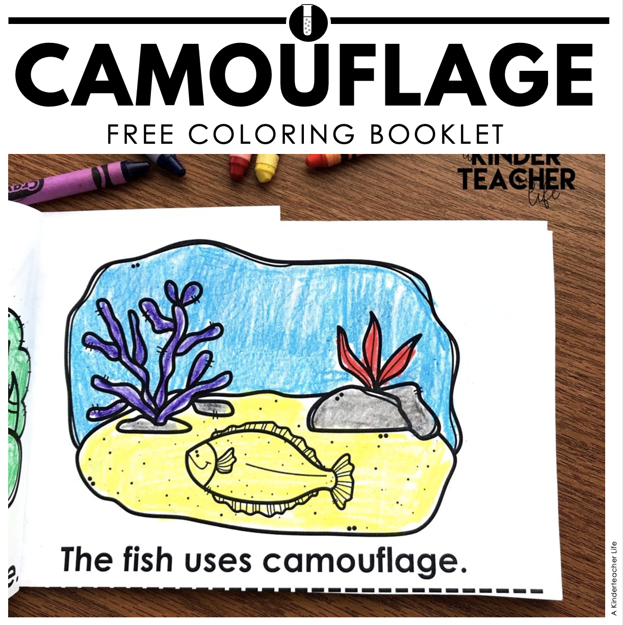 Camouflage ANIMALS COLORING BOOK freebie - A Kinderteacher Life