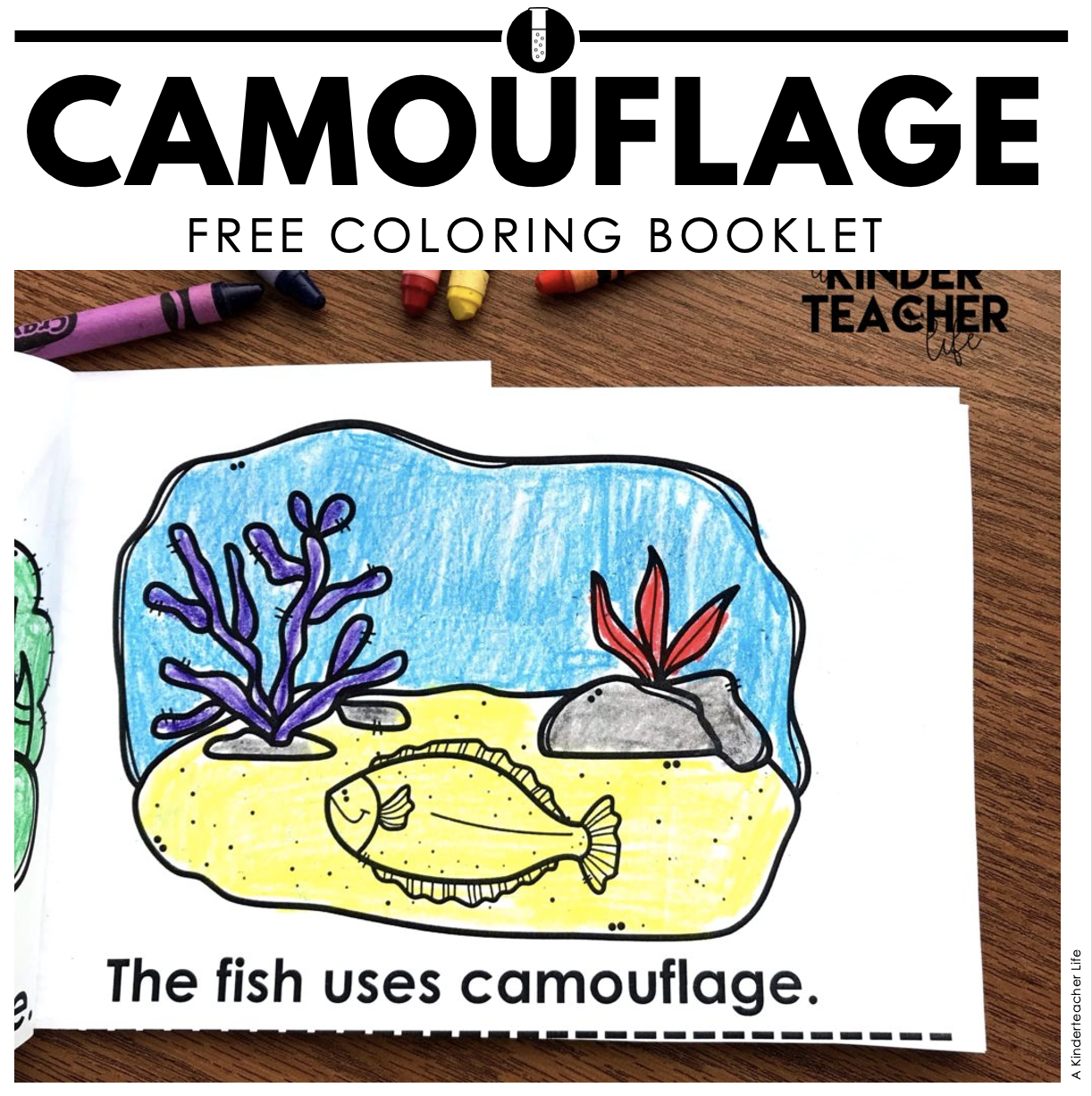 Camouflage ANIMALS COLORING BOOK freebie