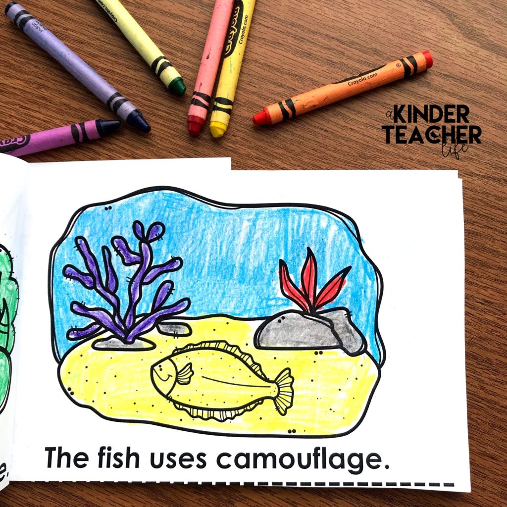 Free animal camouflage coloring book. Students read the sentence and color the animal and the habitat to demonstrate camouflage. 