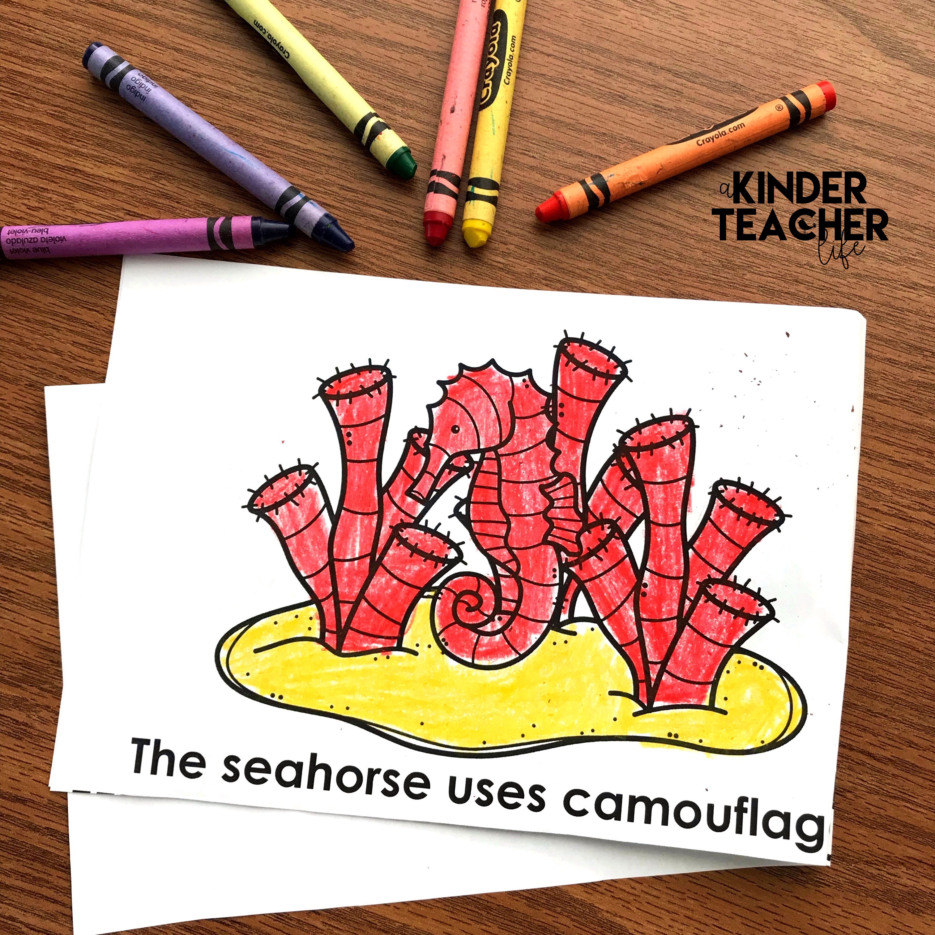 Free animal camouflage coloring book. Students read the sentence and color the animal and the habitat to demonstrate camouflage. 