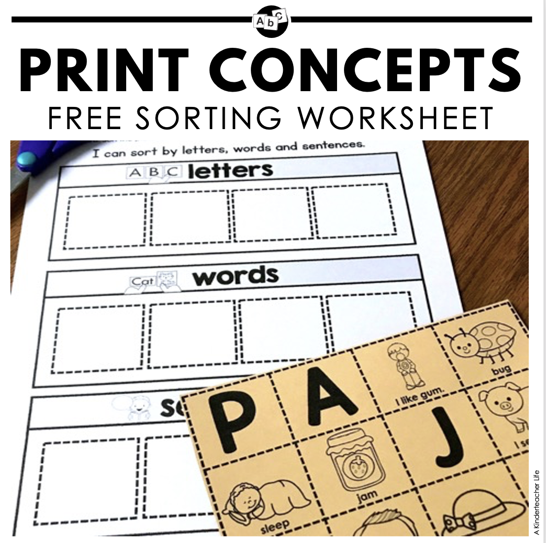 Print Concepts Sort Worksheets
