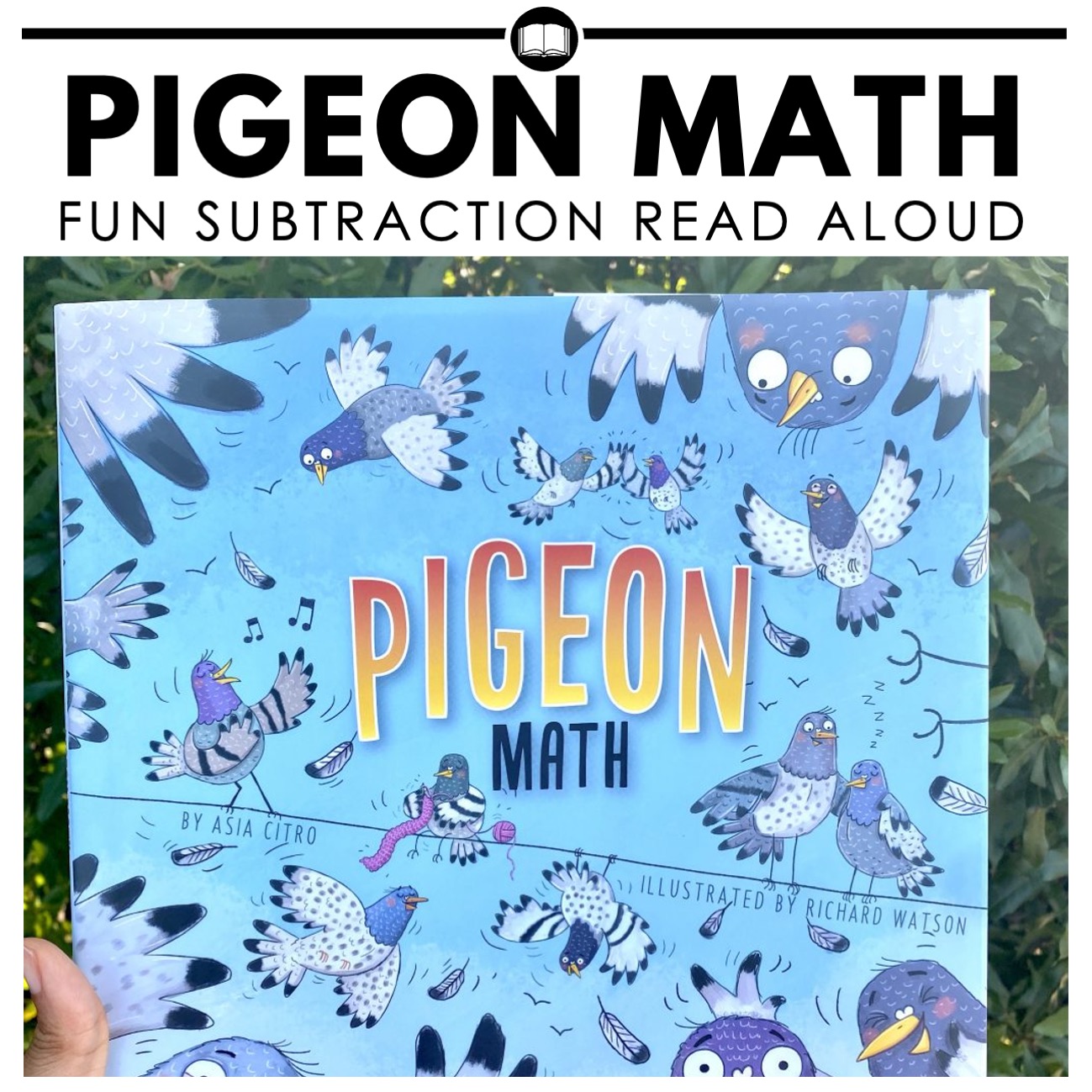 Pigeon Math Book Review and Subtraction Activity