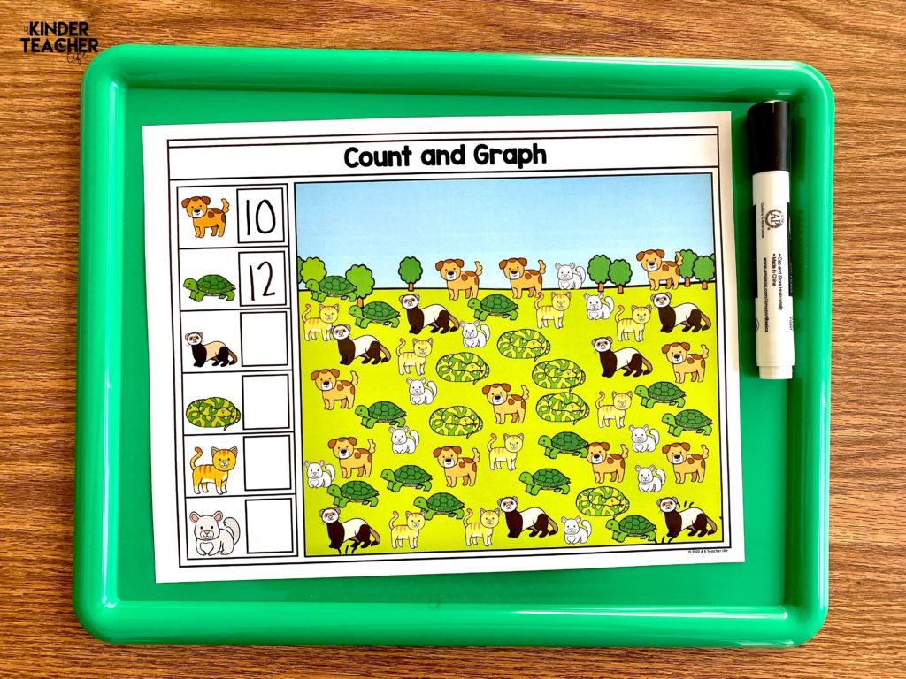 Count and Graph First Grade  End of the Year Math Review