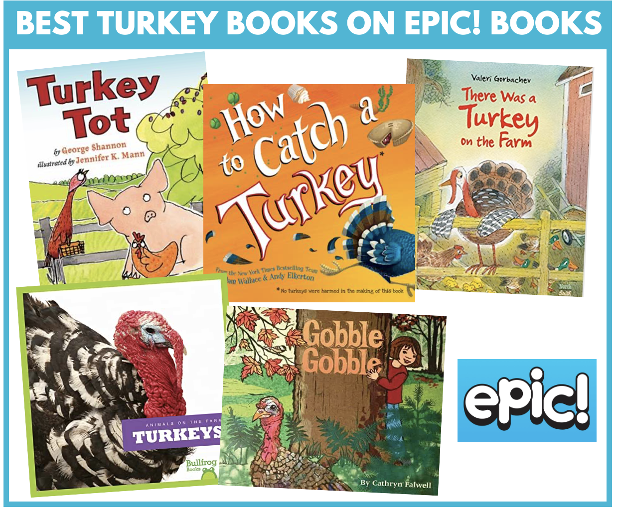 The Best Fiction and Non-Fiction Turkey Books