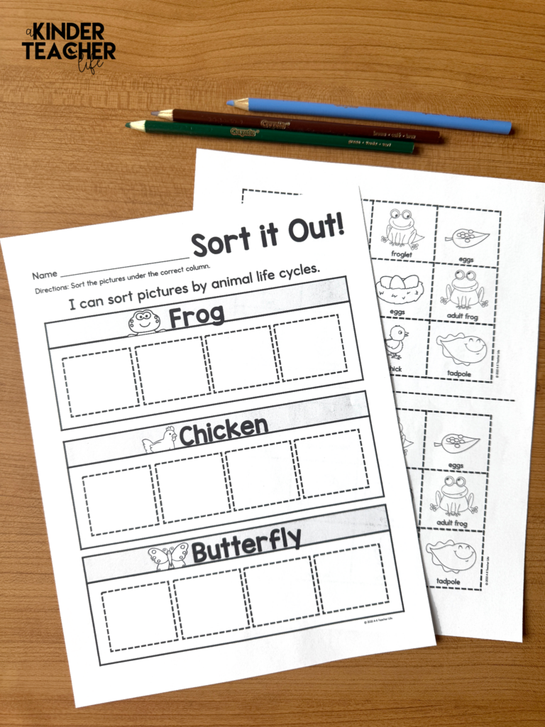 Life Cycles Sorting Worksheets