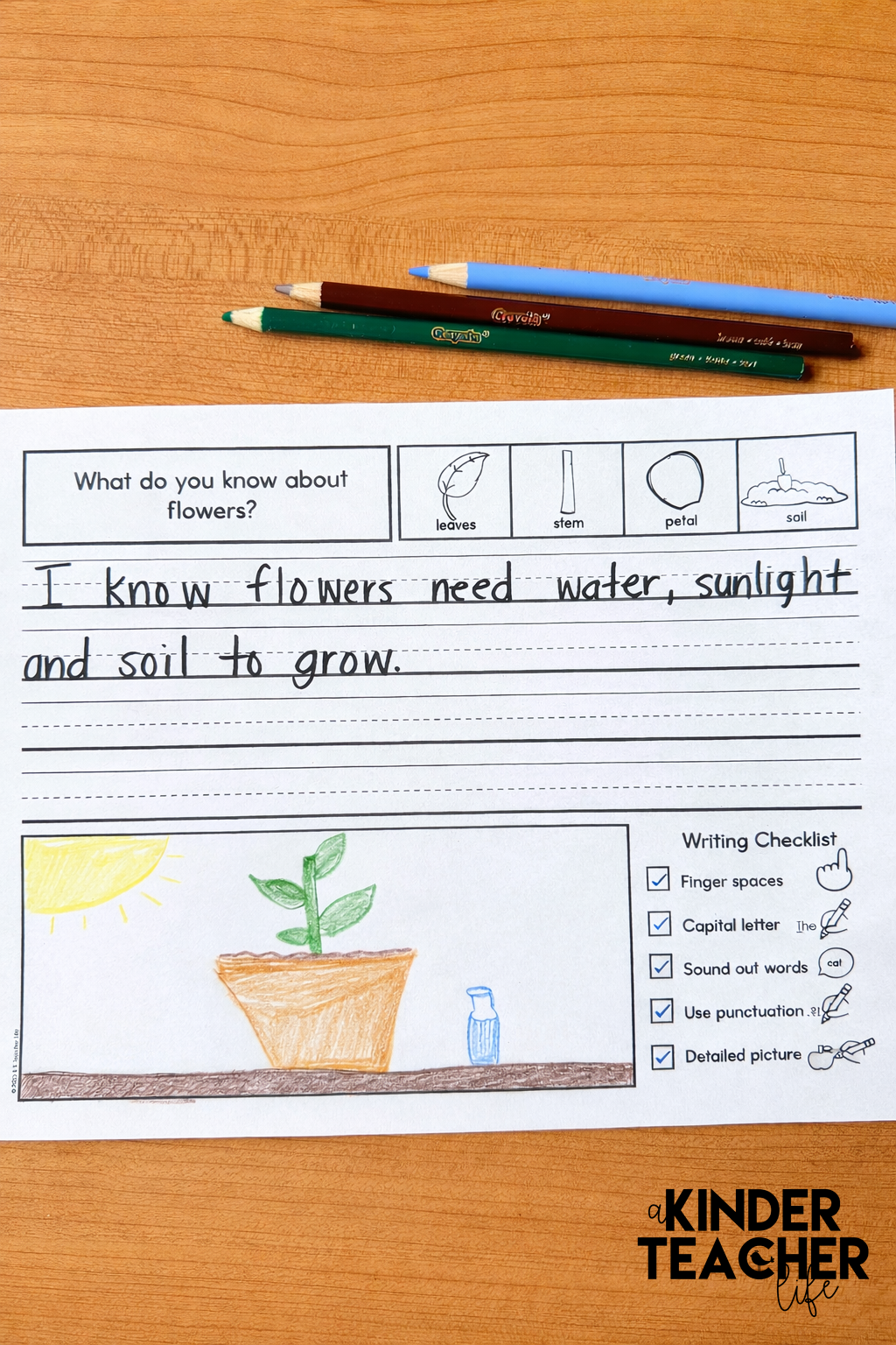 Spring Activities That Keep Learning Meaningful and not just cute